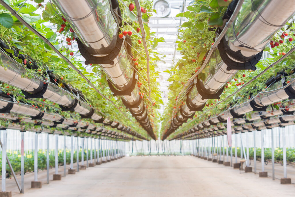 a greenhouse supplied with clean, treated water